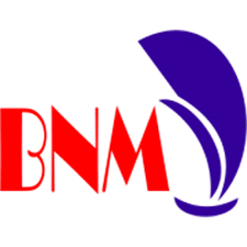 PT. Batulicin Nusantara Maritim